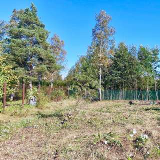 Земельный участок 6 соток в садоводстве Меркурий в районе деревни Шереметьевка